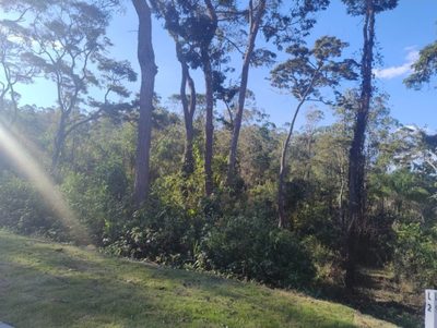 Terreno - Foto 5