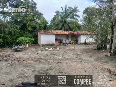 Casa, 30 m² - Foto 2