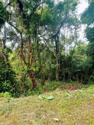Terreno, 150 m² - Foto 2