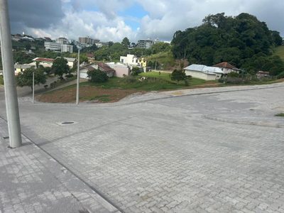 Terreno, 390 hectares - Foto 2