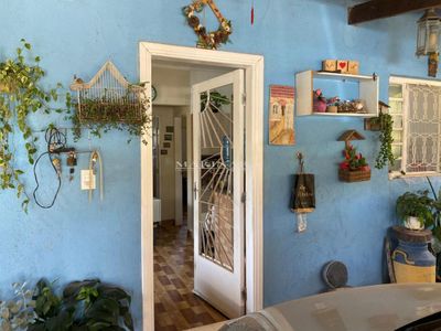 Chácara, 2 quartos, 2000 m² - Foto 3