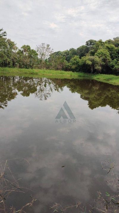 Chácara, 5 quartos, 3 hectares - Foto 4
