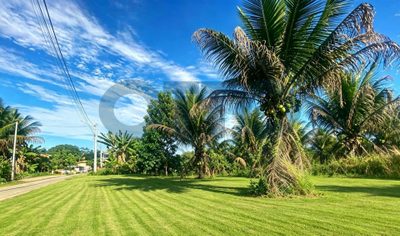 Terreno, 300 m² - Foto 1
