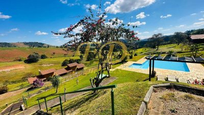 Sítio, 11 quartos, 2 hectares - Foto 3