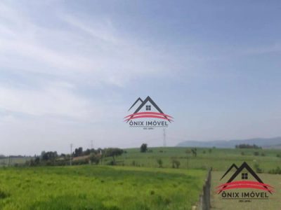Terreno, 4 hectares - Foto 2