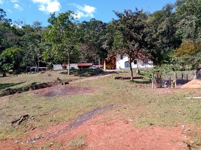 Sítio, 3 quartos, 10000 m² - Foto 5