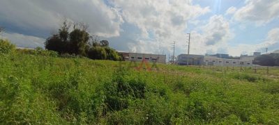 Terreno, 3086 m² - Foto 3