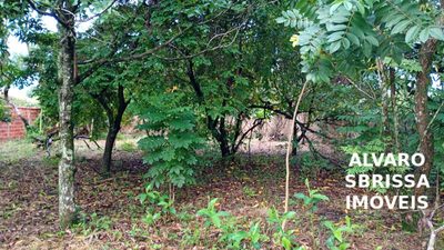 Loteamento e Condomínio, 1000 m² - Foto 5
