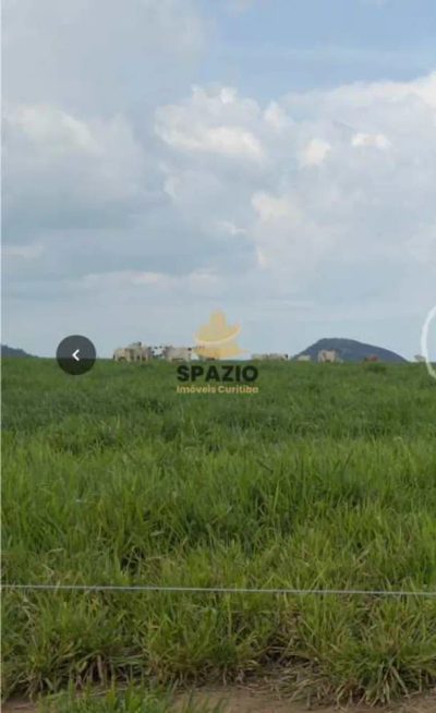 Fazenda, 1462 m² - Foto 2