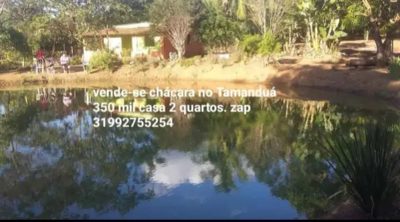 Chácara, 2 quartos, 3000 m² - Foto 4