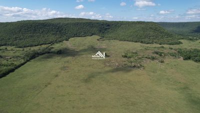Chácara, 50 hectares - Foto 4