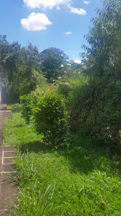 Casa, 2 quartos, 100 m² - Foto 4