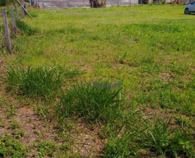 Terreno, 25 hectares - Foto 3
