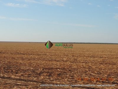 Terreno, 3 hectares - Foto 1