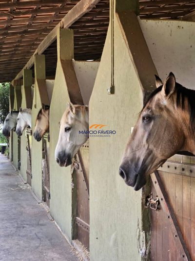 Fazenda, 11 hectares - Foto 2