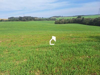 Terreno, 13 hectares - Foto 2