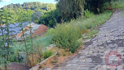 Terreno, 406 m² - Foto 4