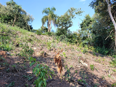 Terreno, 250 m² - Foto 3