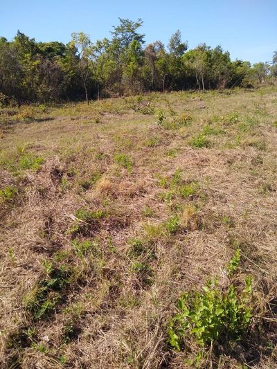 Terreno, 5000 m² - Foto 4