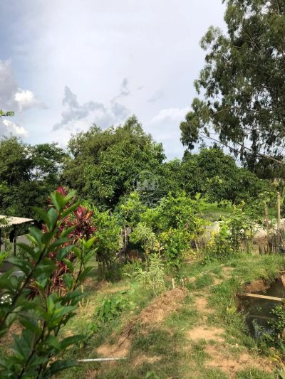Terreno, 500 m² - Foto 2