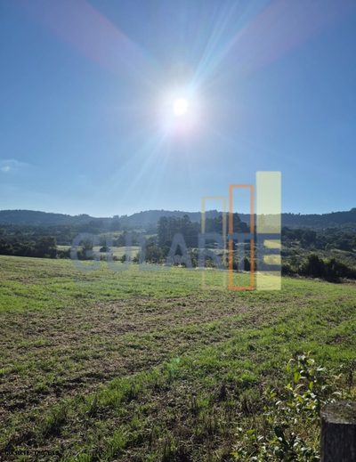 Fazenda, 58 hectares - Foto 3