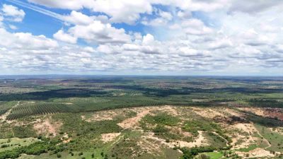 Fazenda - Foto 4