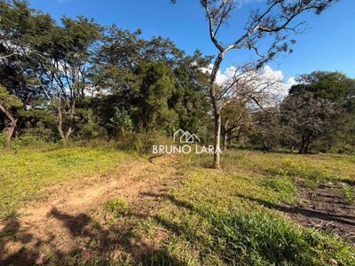 Terreno, 4 hectares - Foto 3