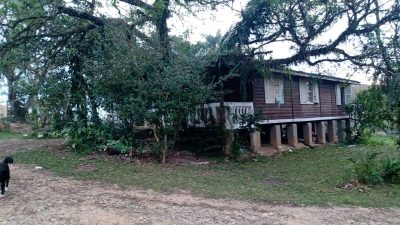 Chácara, 3 quartos, 4500 m² - Foto 1