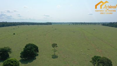Fazenda, 2040000 hectares - Foto 4