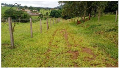 Terreno, 2 hectares - Foto 3
