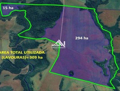Fazenda, 461 hectares - Foto 2