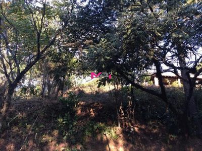 Terreno, 1743 m² - Foto 3