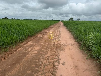 Fazenda - Foto 4