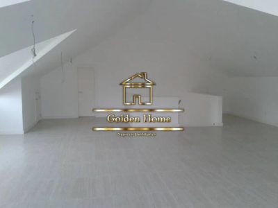 Casa, 4 quartos, 900 m² - Foto 4