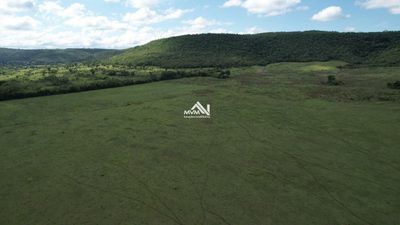 Chácara, 50 hectares - Foto 3