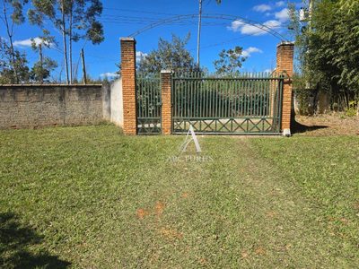 Chácara, 4 quartos, 2 hectares - Foto 4