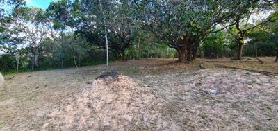 Chácara, 2 quartos, 1 hectares - Foto 2