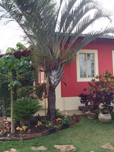 Sítio, 3 quartos, 1464 m² - Foto 2