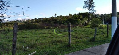Terreno, 5 hectares - Foto 4