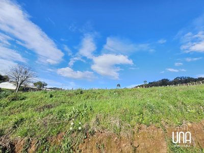 Terreno, 1000 m² - Foto 4
