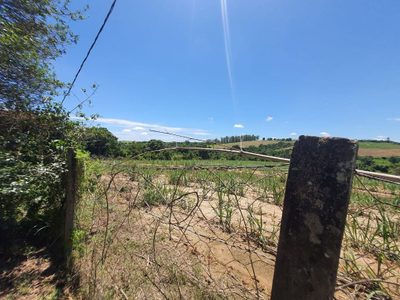 Fazenda, 40 hectares - Foto 1