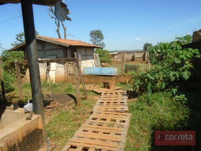 Chácara, 1 quarto, 5000 m² - Foto 3