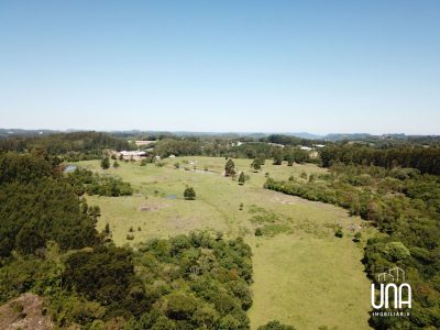 Chácara, 2 hectares - Foto 3