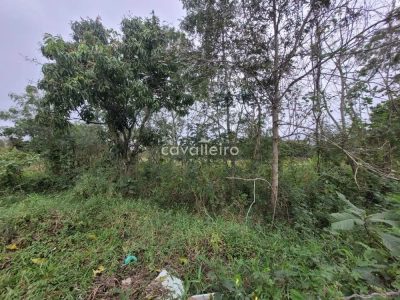 Terreno, 3200 m² - Foto 3