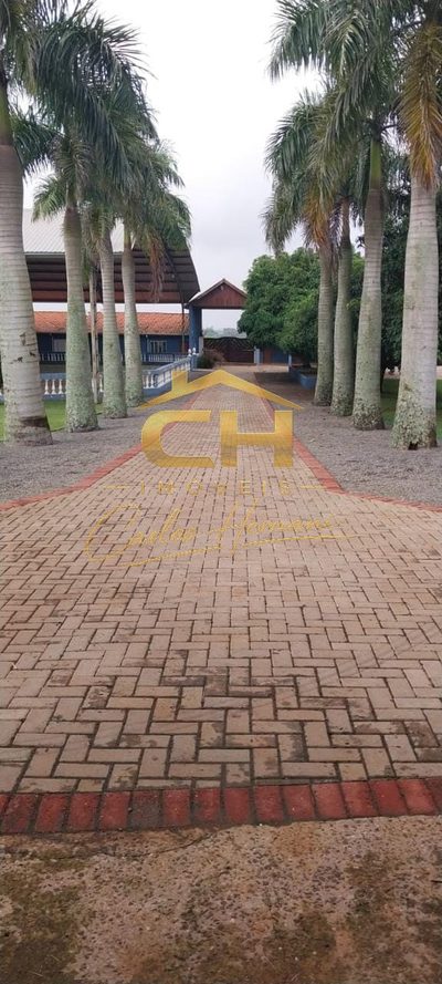 Fazenda, 48 hectares - Foto 3