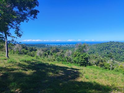 Chácara, 35 hectares - Foto 2