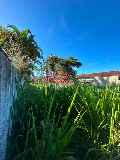 Terreno, 500 m² - Foto 4