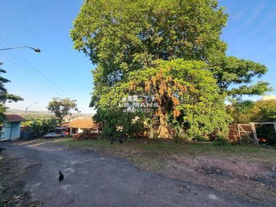 Chácara, 10 quartos, 8700 m² - Foto 3