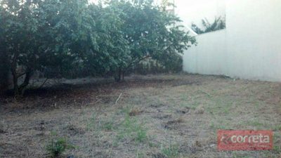Terreno, 377 m² - Foto 2