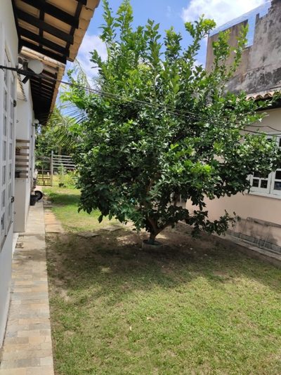 Casa, 4 quartos, 800 m² - Foto 4
